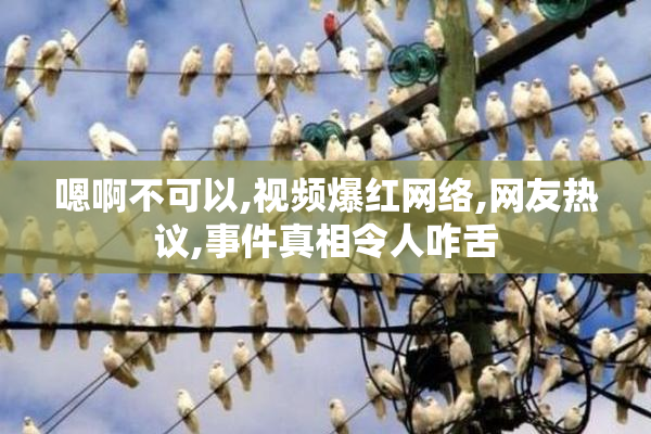嗯啊不可以,视频爆红网络,网友热议,事件真相令人咋舌