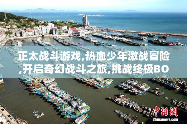 正太战斗游戏,热血少年激战冒险,开启奇幻战斗之旅,挑战终极BOSS