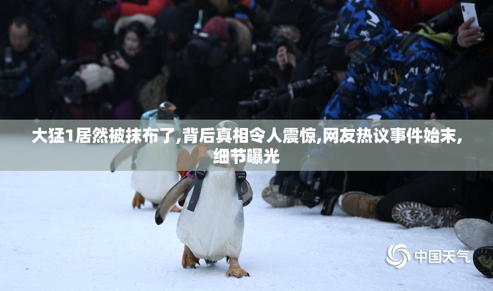 大猛1居然被抹布了,背后真相令人震惊,网友热议事件始末,细节曝光