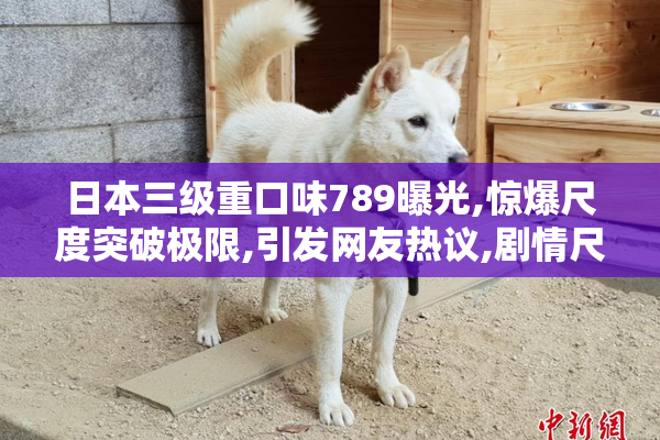 日本三级重口味789曝光,惊爆尺度突破极限,引发网友热议,剧情尺度