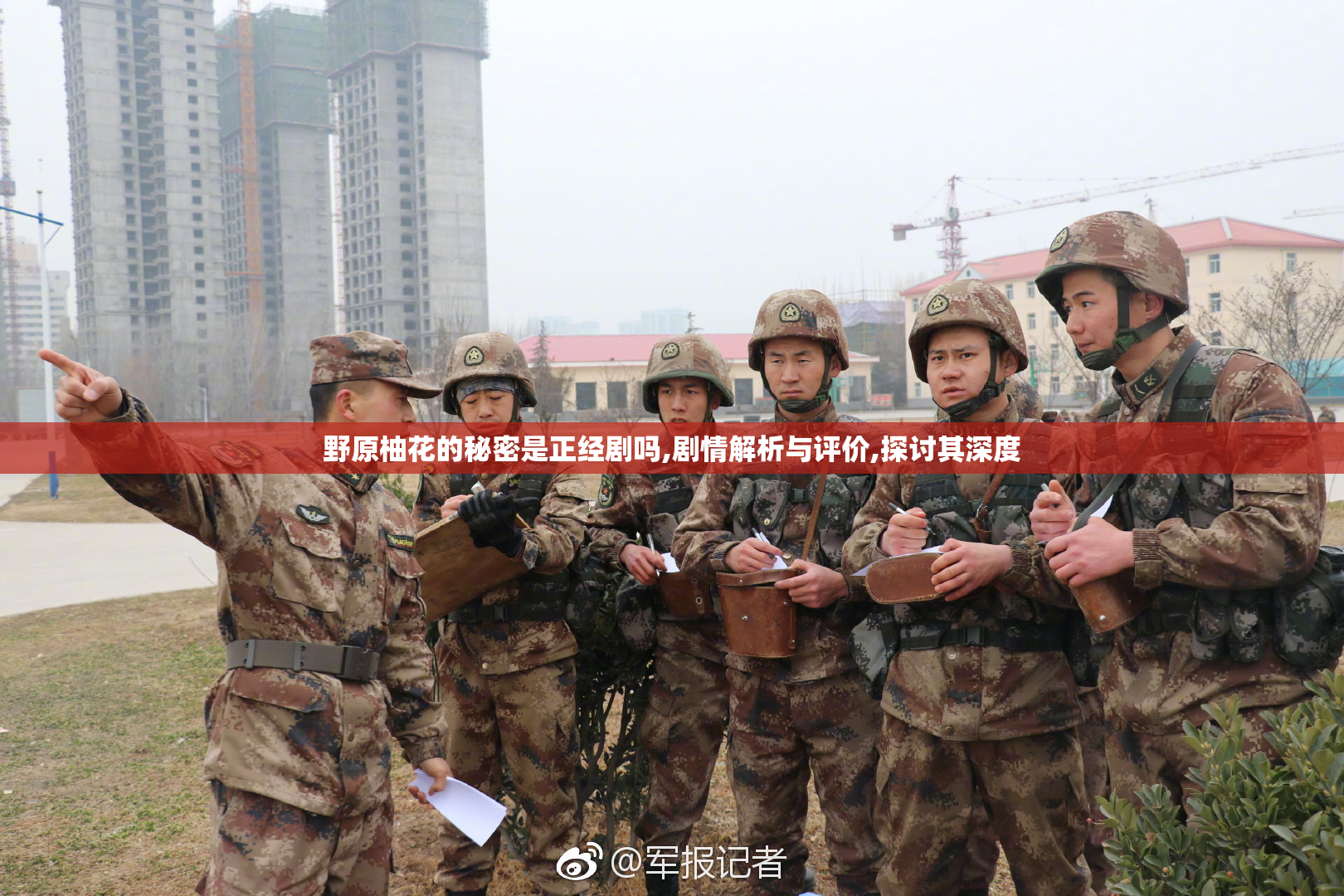 野原柚花的秘密是正经剧吗,剧情解析与评价,探讨其深度