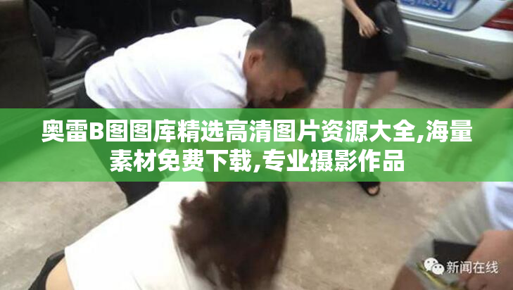 奥雷B图图库精选高清图片资源大全,海量素材免费下载,专业摄影作品