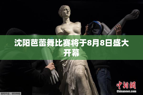 沈阳芭蕾舞比赛将于8月8日盛大开幕