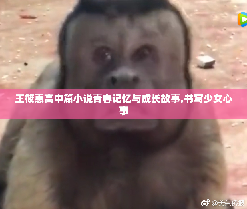 王筱惠高中篇小说青春记忆与成长故事,书写少女心事