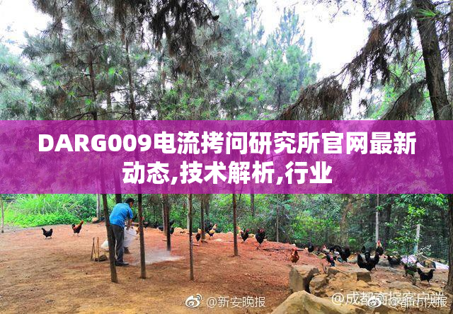 DARG009电流拷问研究所官网最新动态,技术解析,行业