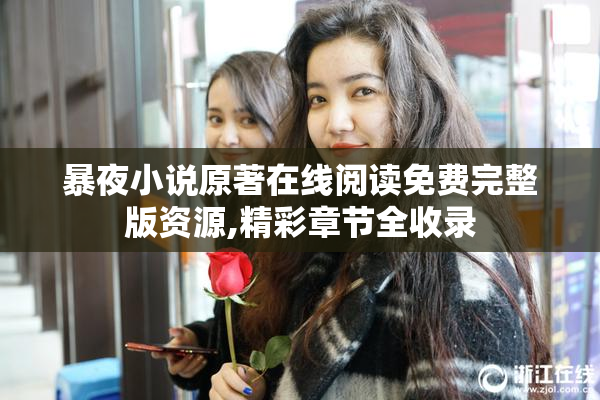 暴夜小说原著在线阅读免费完整版资源,精彩章节全收录