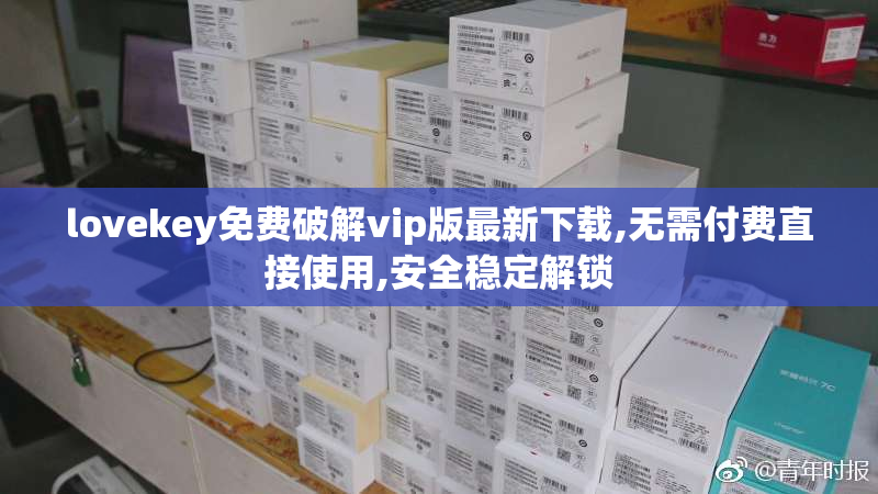 lovekey免费破解vip版最新下载,无需付费直接使用,安全稳定解锁