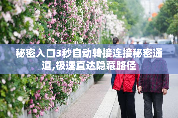 秘密入口3秒自动转接连接秘密通道,极速直达隐藏路径