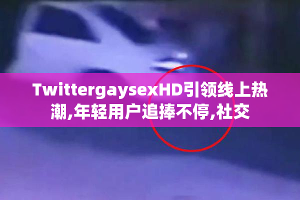TwittergaysexHD引领线上热潮,年轻用户追捧不停,社交