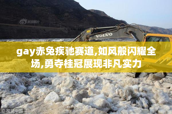 gay赤兔疾驰赛道,如风般闪耀全场,勇夺桂冠展现非凡实力