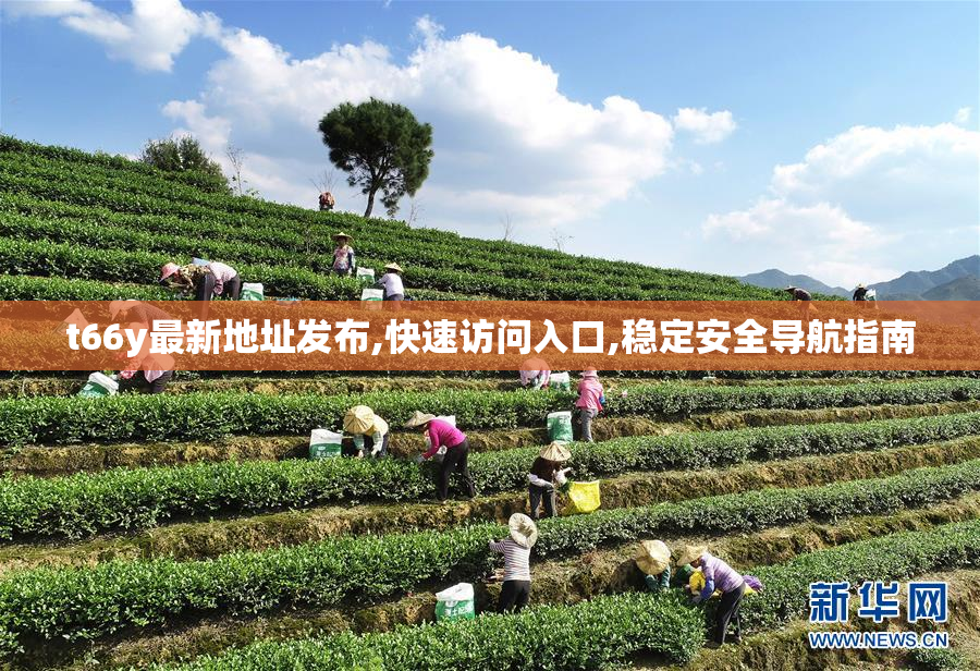 t66y最新地址发布,快速访问入口,稳定安全导航指南