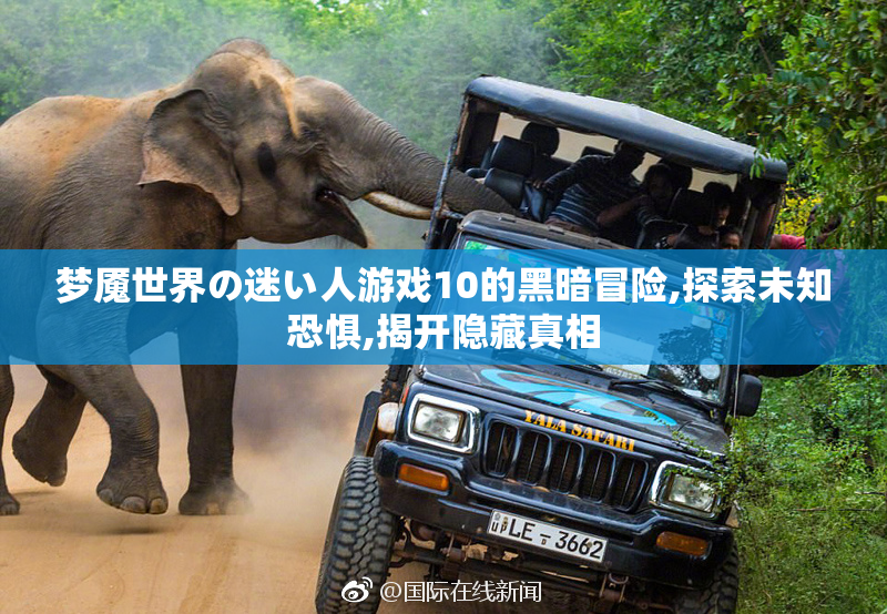 梦魇世界の迷い人游戏10的黑暗冒险,探索未知恐惧,揭开隐藏真相