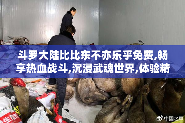 斗罗大陆比比东不亦乐乎免费,畅享热血战斗,沉浸武魂世界,体验精彩