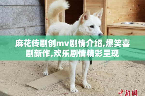 麻花传剧创mv剧情介绍,爆笑喜剧新作,欢乐剧情精彩呈现