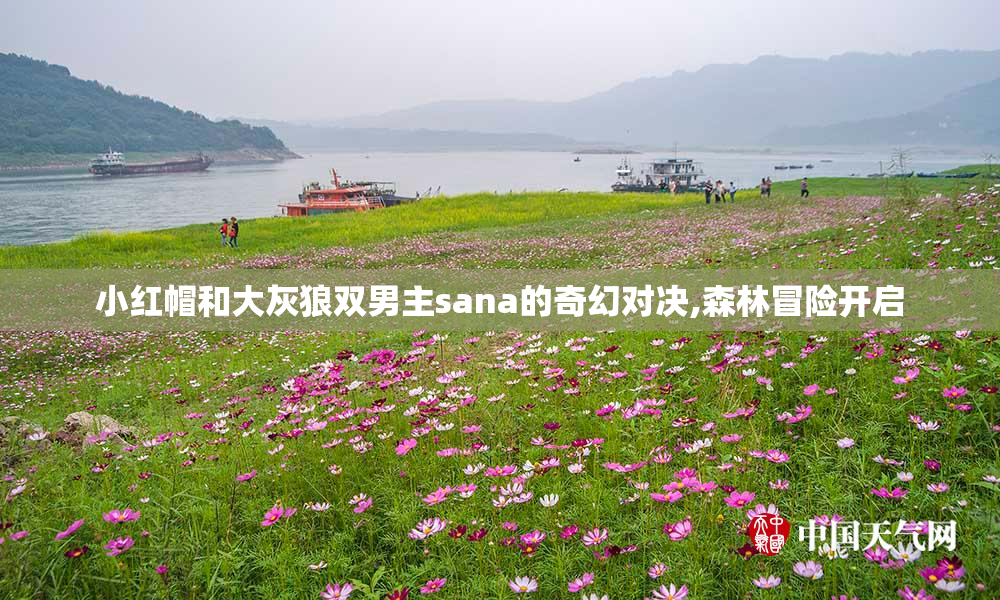 小红帽和大灰狼双男主sana的奇幻对决,森林冒险开启