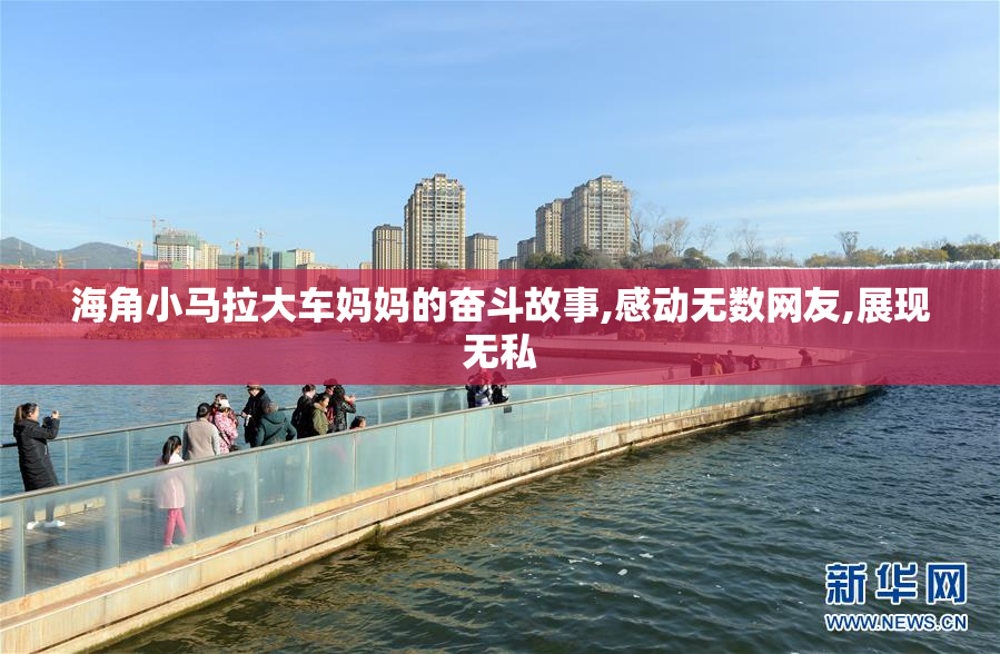 海角小马拉大车妈妈的奋斗故事,感动无数网友,展现无私