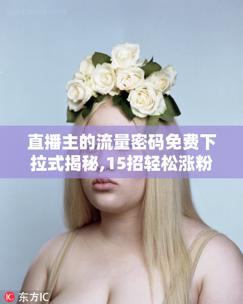 直播主的流量密码免费下拉式揭秘,15招轻松涨粉,新手必看爆款技巧