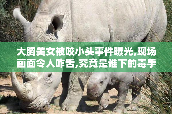 大胸美女被咬小头事件曝光,现场画面令人咋舌,究竟是谁下的毒手