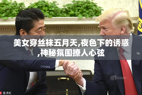 美女穿丝袜五月天,夜色下的诱惑,神秘氛围撩人心弦
