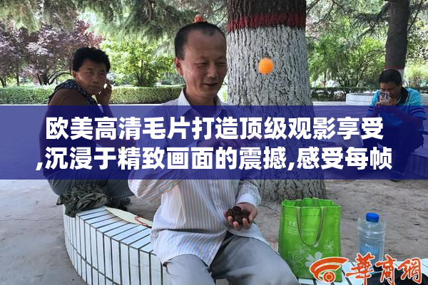 欧美高清毛片打造顶级观影享受,沉浸于精致画面的震撼,感受每帧的