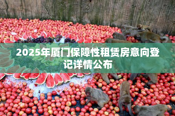 2025年厦门保障性租赁房意向登记详情公布