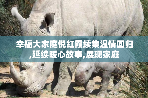 幸福大家庭倪红霞续集温情回归,延续暖心故事,展现家庭