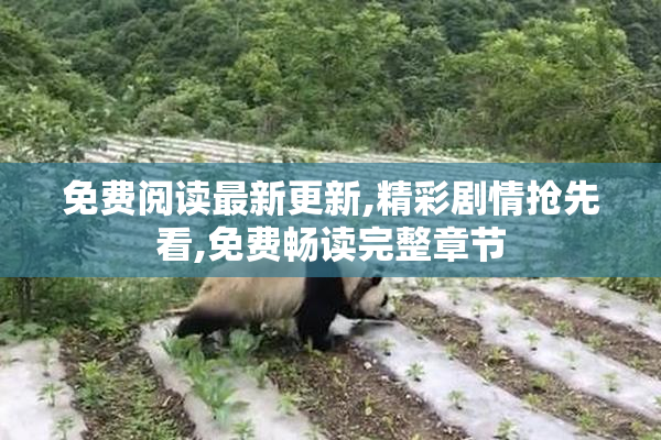 免费阅读最新更新,精彩剧情抢先看,免费畅读完整章节