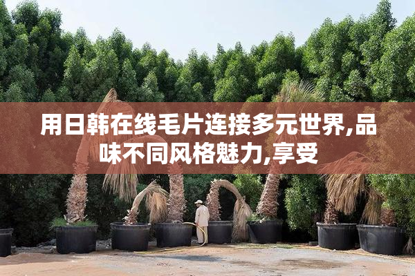 用日韩在线毛片连接多元世界,品味不同风格魅力,享受