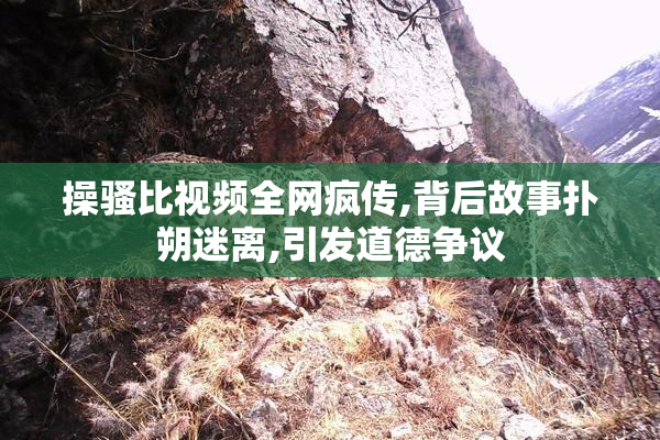 操骚比视频全网疯传,背后故事扑朔迷离,引发道德争议