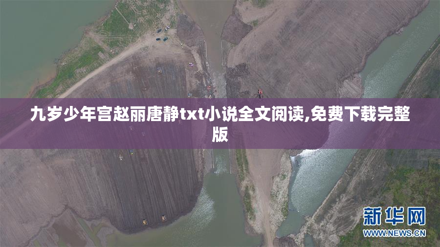 九岁少年宫赵丽唐静txt小说全文阅读,免费下载完整版