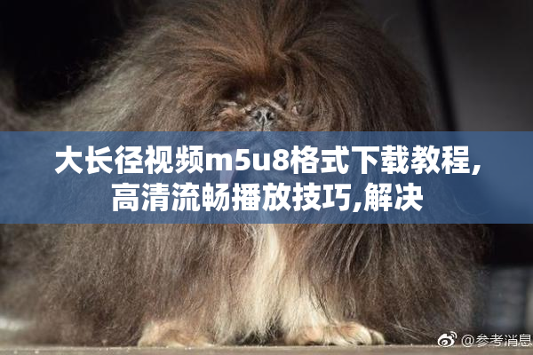 大长径视频m5u8格式下载教程,高清流畅播放技巧,解决