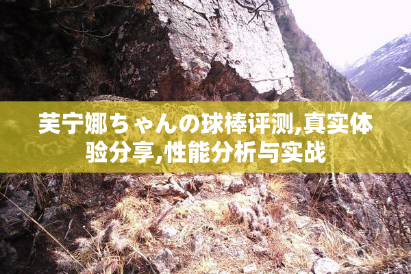 芙宁娜ちゃんの球棒评测,真实体验分享,性能分析与实战