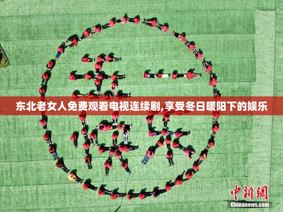东北老女人免费观看电视连续剧,享受冬日暖阳下的娱乐