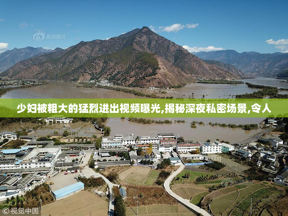 少妇被粗大的猛烈进出视频曝光,揭秘深夜私密场景,令人