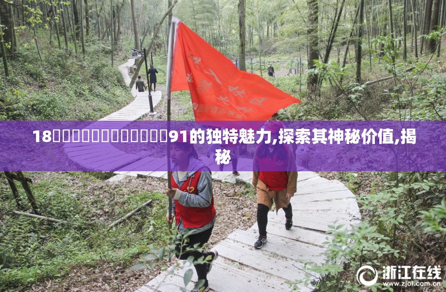 18鍕曫煃嗮煃戰煍炩潓鉂屸潓91的独特魅力,探索其神秘价值,揭秘