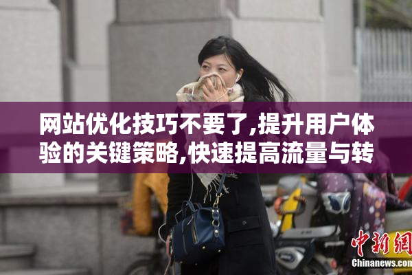 网站优化技巧不要了,提升用户体验的关键策略,快速提高流量与转化