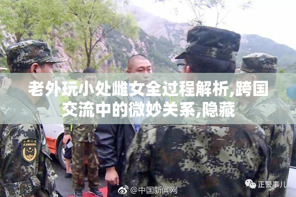 老外玩小处雌女全过程解析,跨国交流中的微妙关系,隐藏