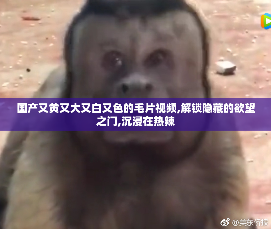 国产又黄又大又白又色的毛片视频,解锁隐藏的欲望之门,沉浸在热辣