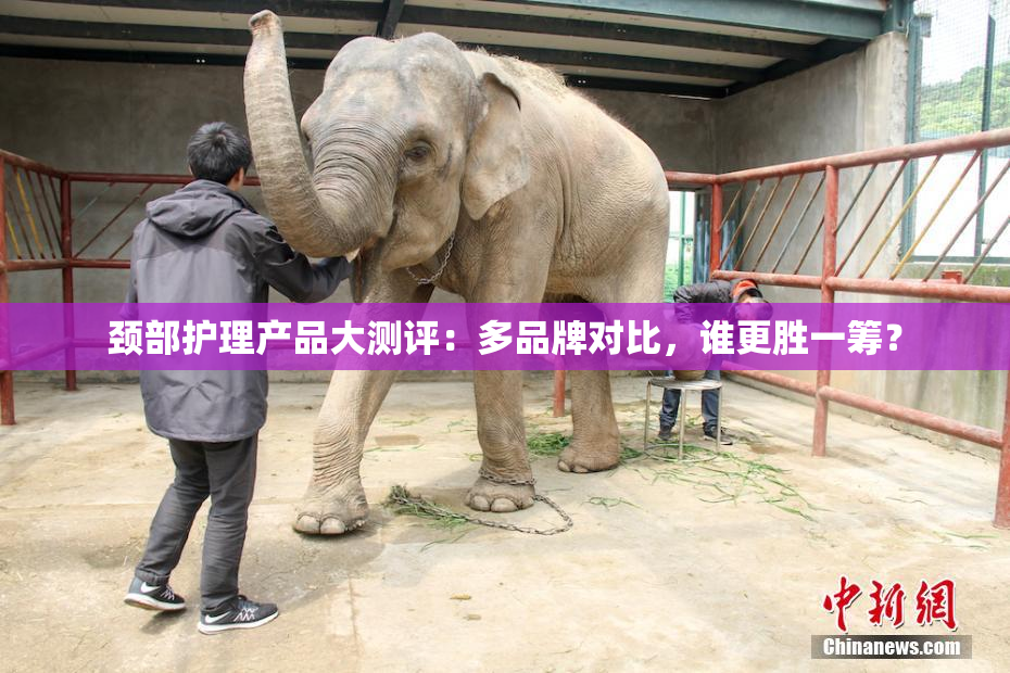 颈部护理产品大测评：多品牌对比，谁更胜一筹？