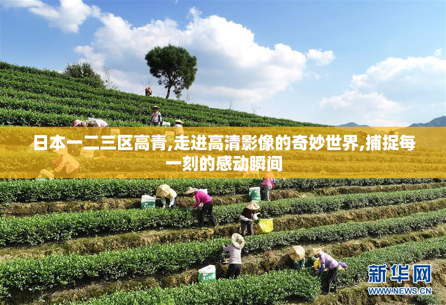 日本一二三区高青,走进高清影像的奇妙世界,捕捉每一刻的感动瞬间
