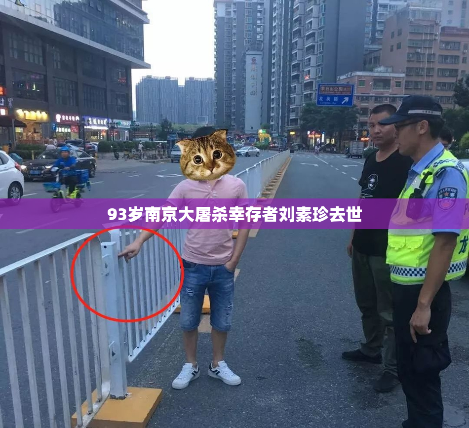 93岁南京大屠杀幸存者刘素珍去世