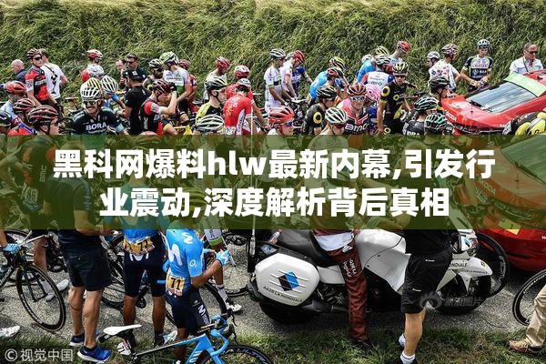 黑科网爆料hlw最新内幕,引发行业震动,深度解析背后真相