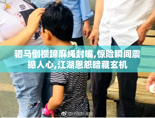 驷马倒攒蹄麻绳封嘴,惊险瞬间震撼人心,江湖恩怨暗藏玄机