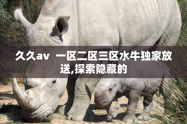 久久av  一区二区三区水牛独家放送,探索隐藏的