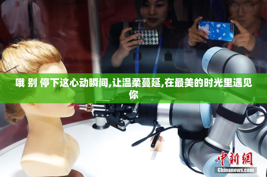 哦 别 停下这心动瞬间,让温柔蔓延,在最美的时光里遇见你