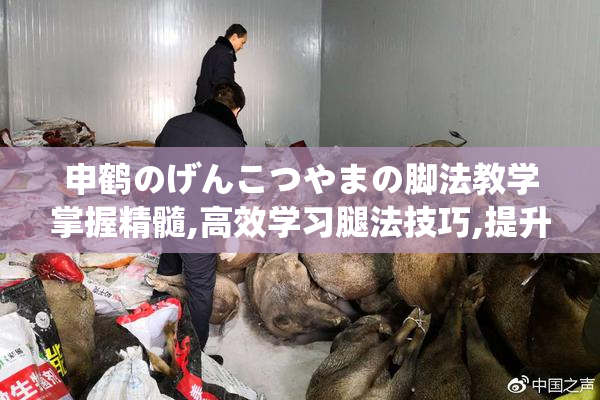 申鹤のげんこつやまの脚法教学掌握精髓,高效学习腿法技巧,提升