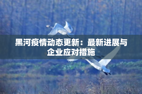 黑河疫情动态更新：最新进展与企业应对措施