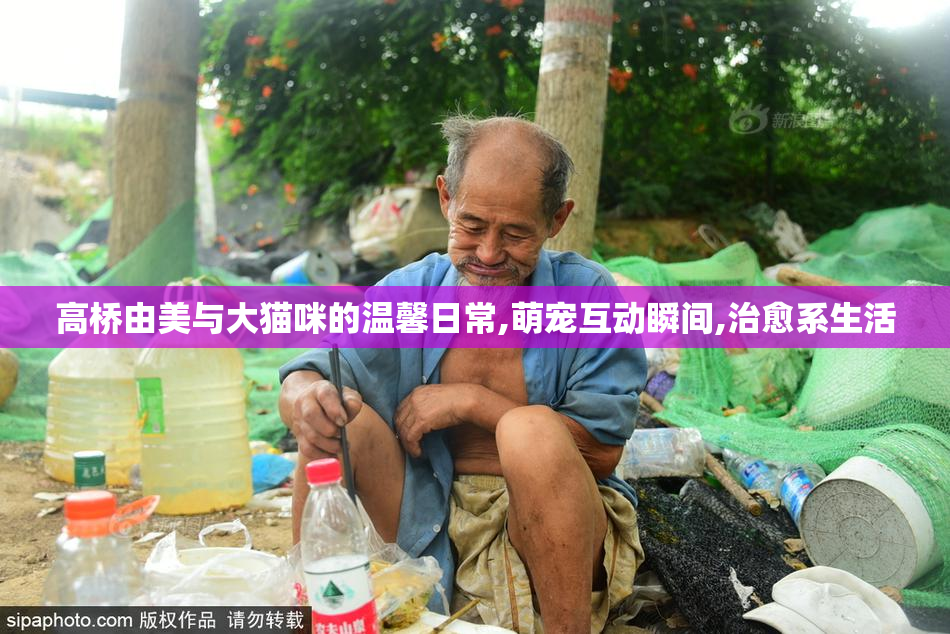 高桥由美与大猫咪的温馨日常,萌宠互动瞬间,治愈系生活