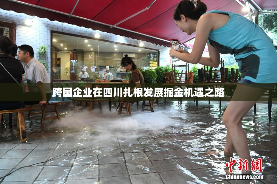 跨国企业在四川扎根发展掘金机遇之路