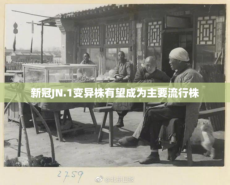 新冠JN.1变异株有望成为主要流行株